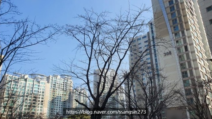 이에이에스 이미지