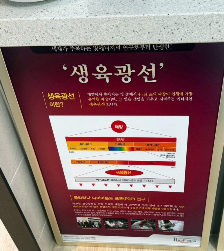 리온체온테라피 이미지