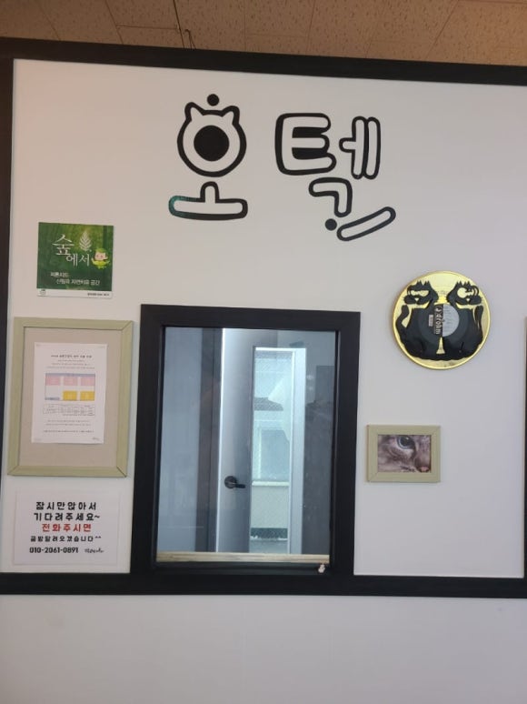 삼층고양이 이미지