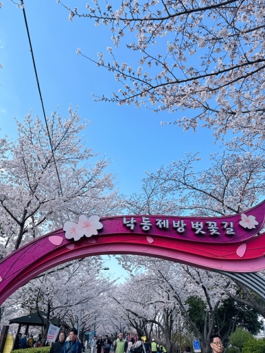 한라돈이익는마을애 이미지