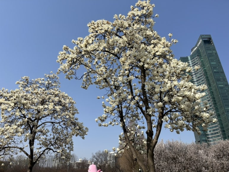 목련슈퍼 이미지