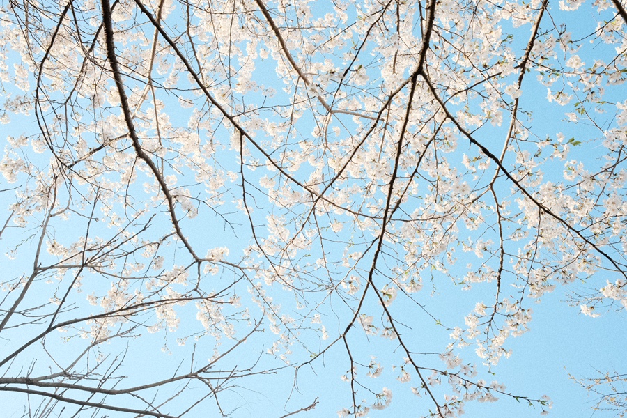 읍천리382마산내서점 이미지