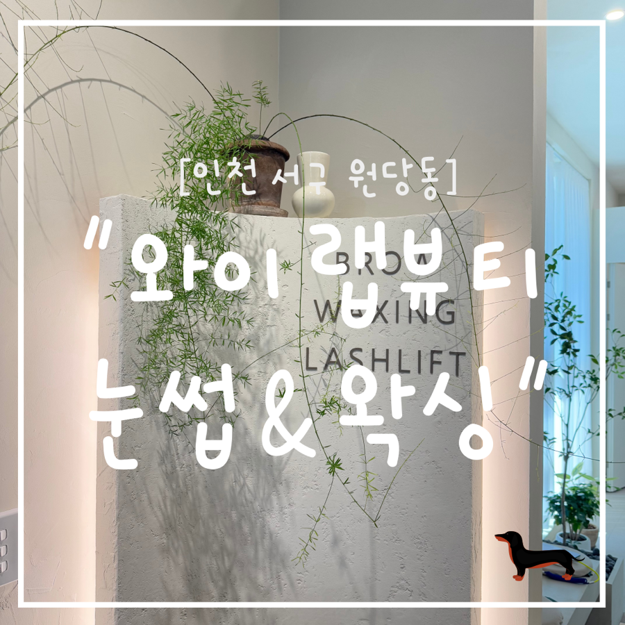 와이랩뷰티 눈썹&왁싱 이미지