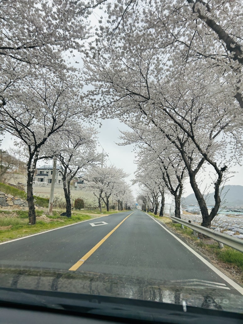 봄이네캠핑장 이미지