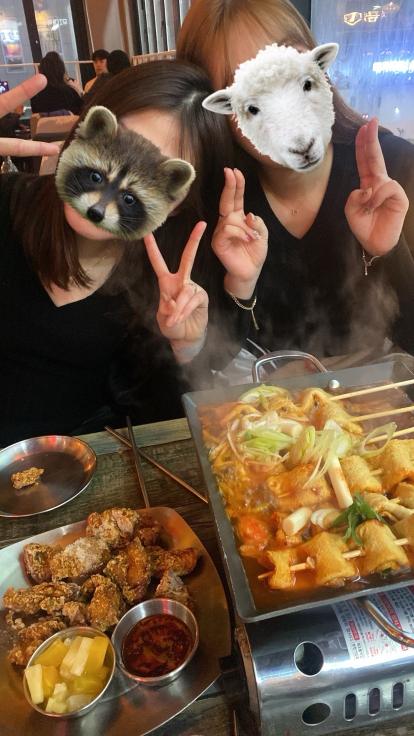 이ㄷ따 이미지