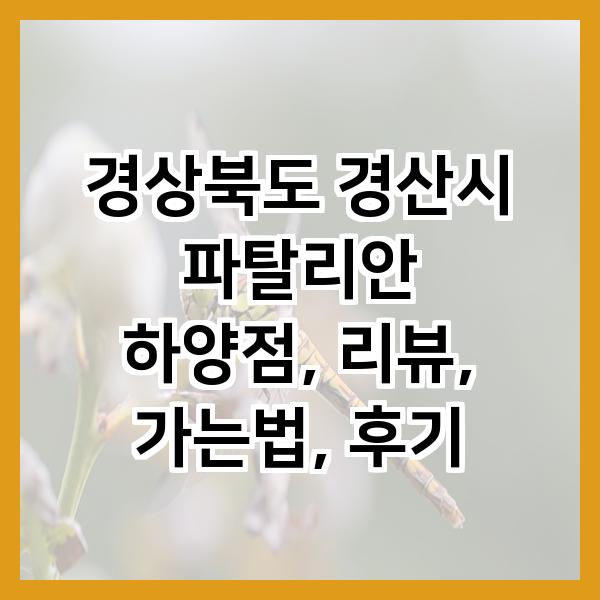파탈리안 이미지