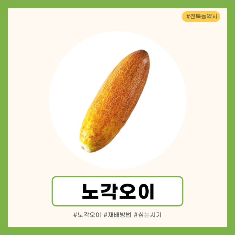 한국농약사 이미지