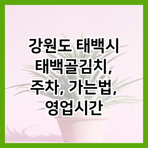 태백골 이미지