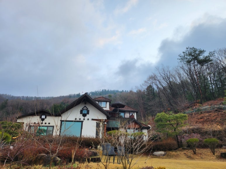 썬포레 이미지