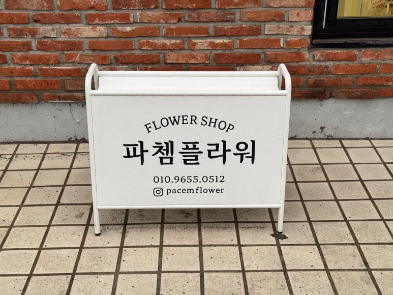 파쳄플라워 이미지