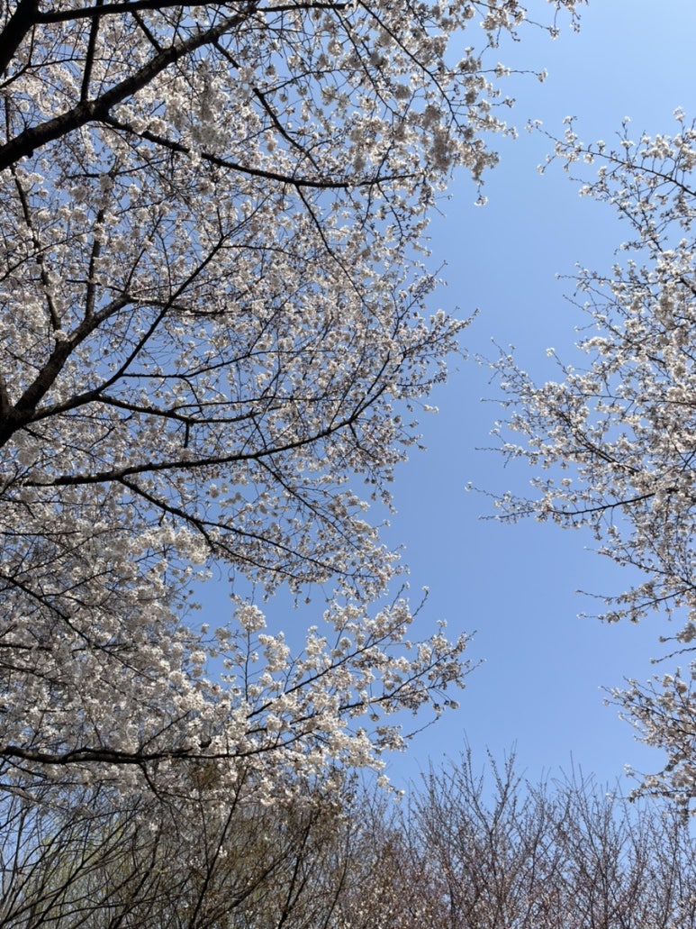 목련슈퍼 이미지