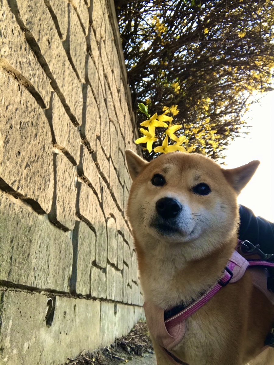 뭉치 이미지