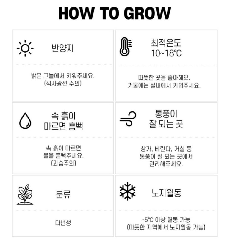 선화석유 이미지