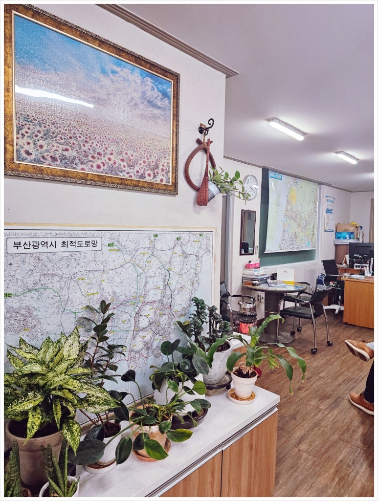 하나공인중개사사무소 이미지