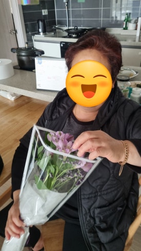 뜰애꽃 이미지