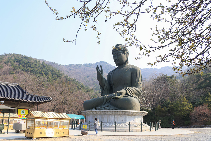 형형색(주) 이미지
