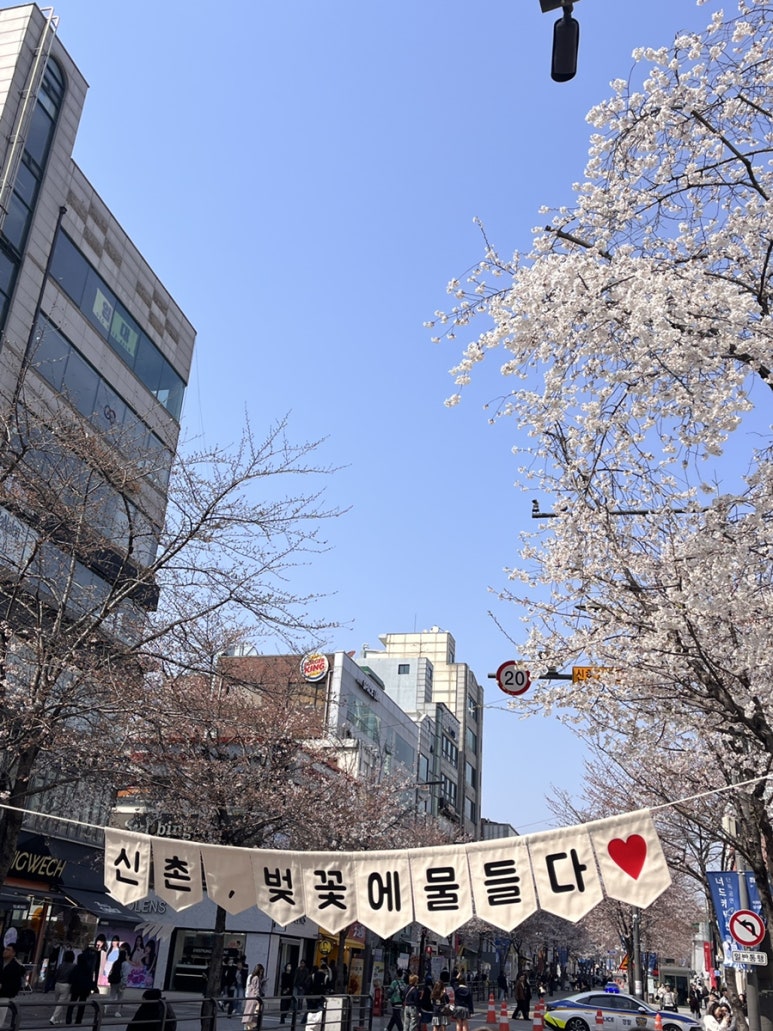 라플로레종 이미지