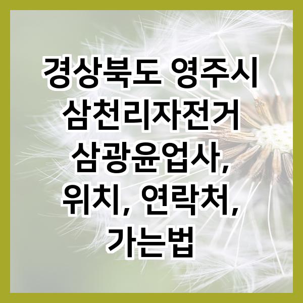 삼광자전거 이미지