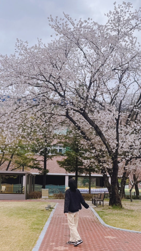 파파존스피자대구 이미지