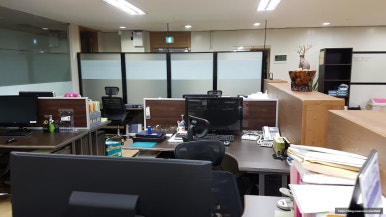 국제세무법인 이미지