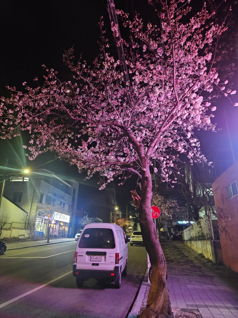하나디씨마트 이미지