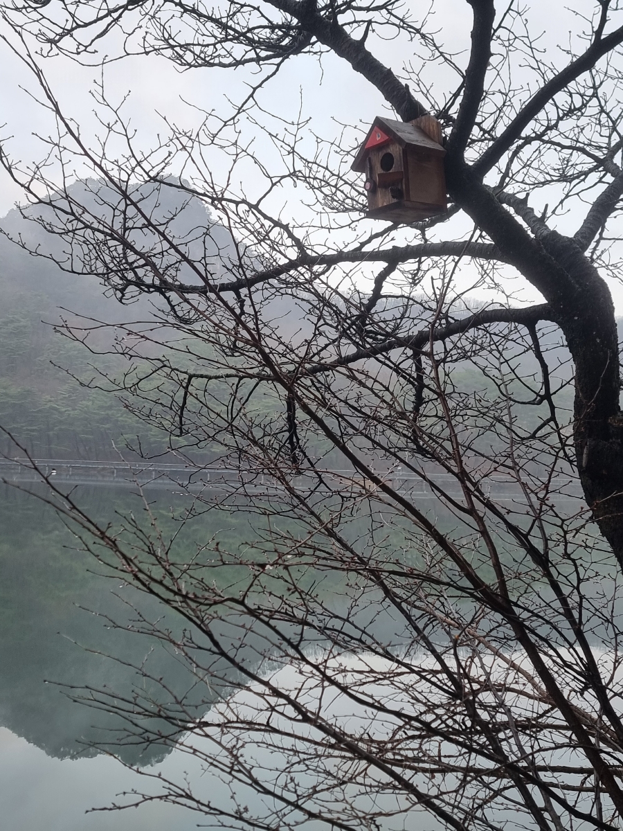 복덩이보물창고 이미지