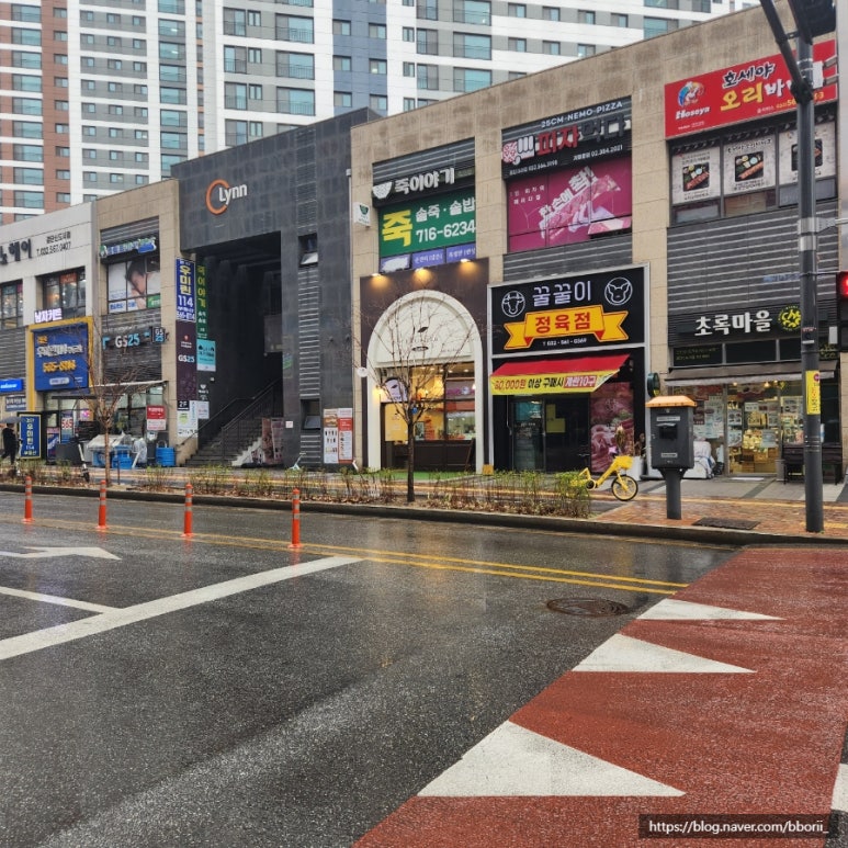하이카스텔라 이미지