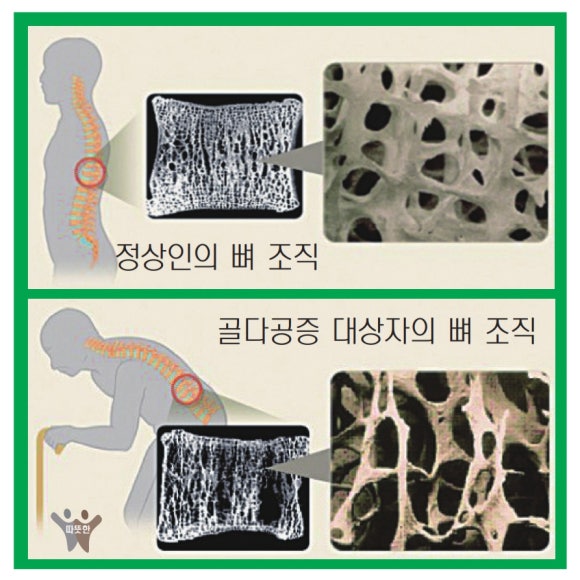 단원요양보호사교육원 이미지