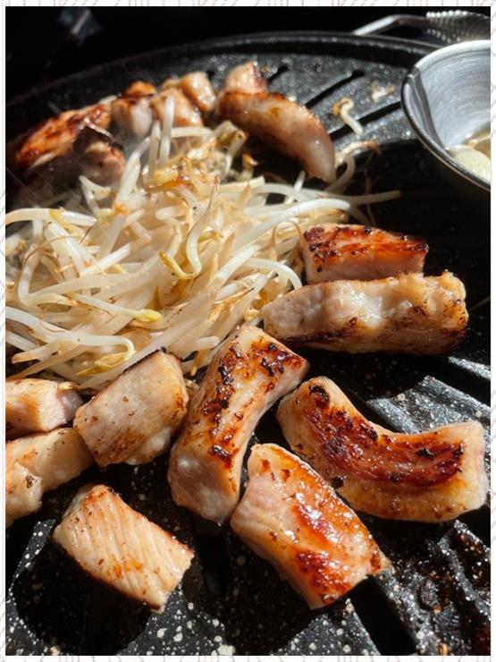 진돈 이미지