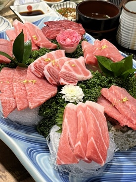 와참치 이미지