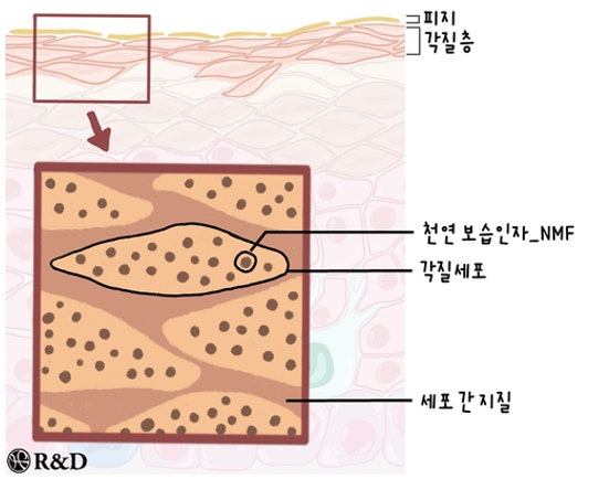 더감성 이미지
