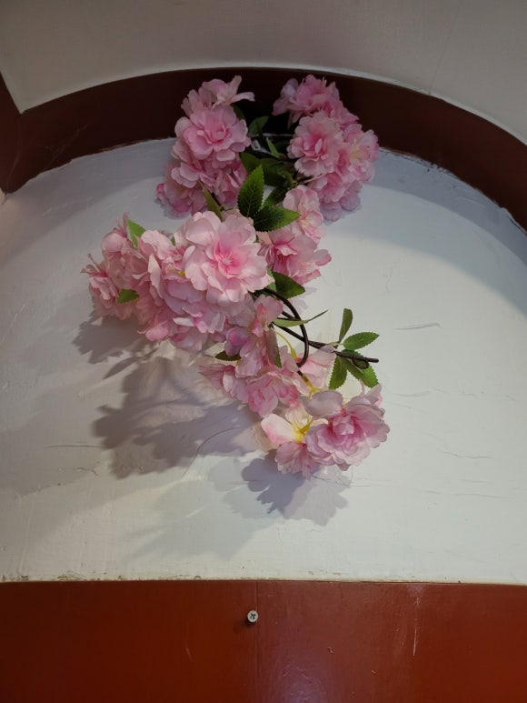 세종오즈 이미지