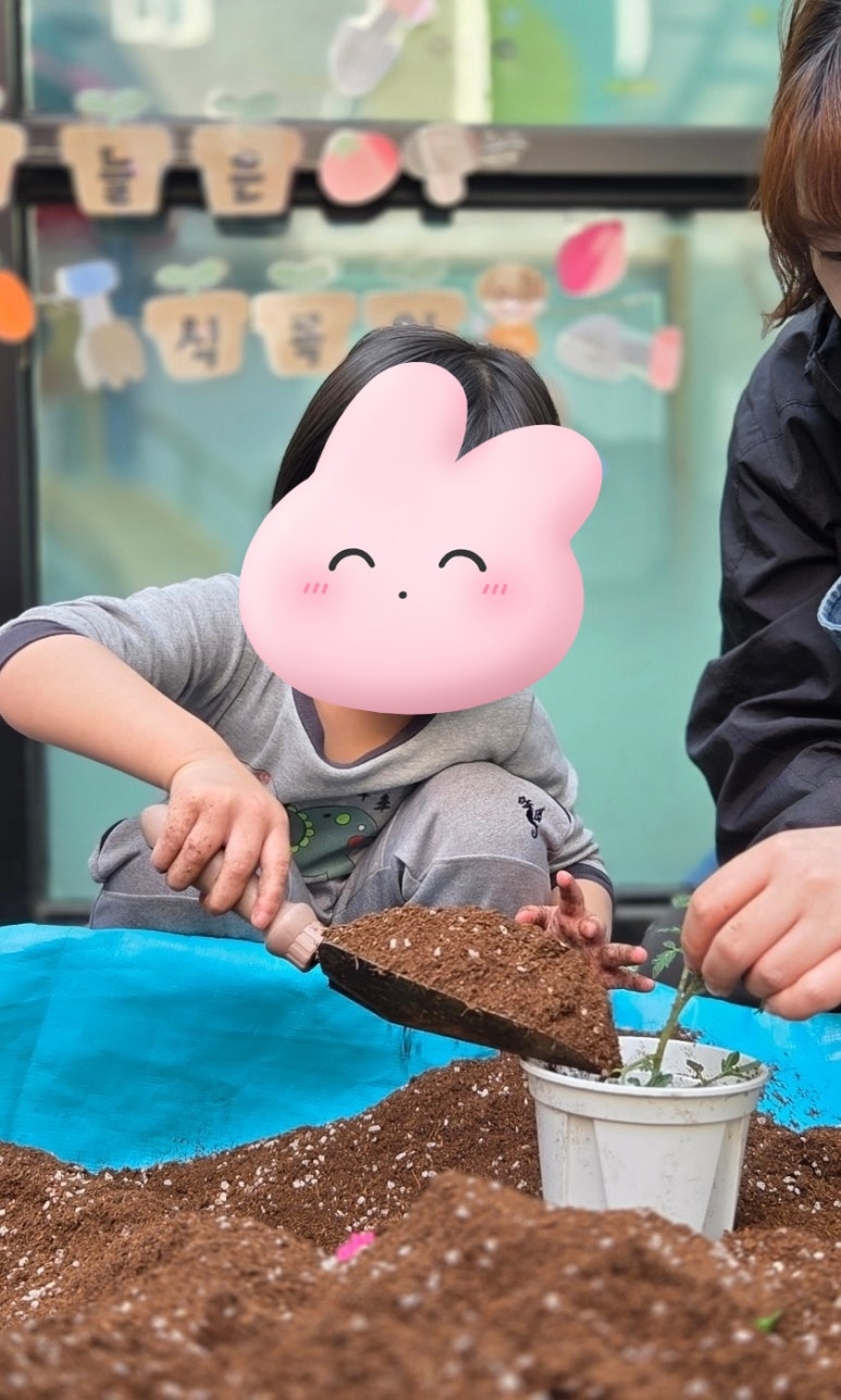 들마을어린이집 이미지