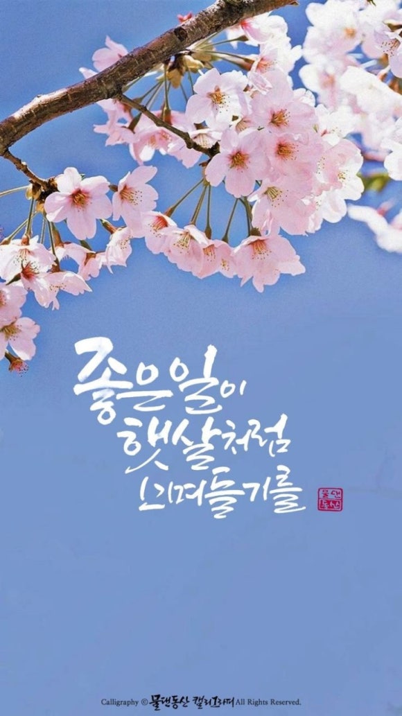 (주)행복한아침 이미지
