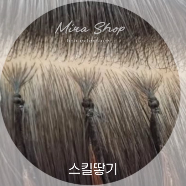대전붙임머리 미라샵 이미지