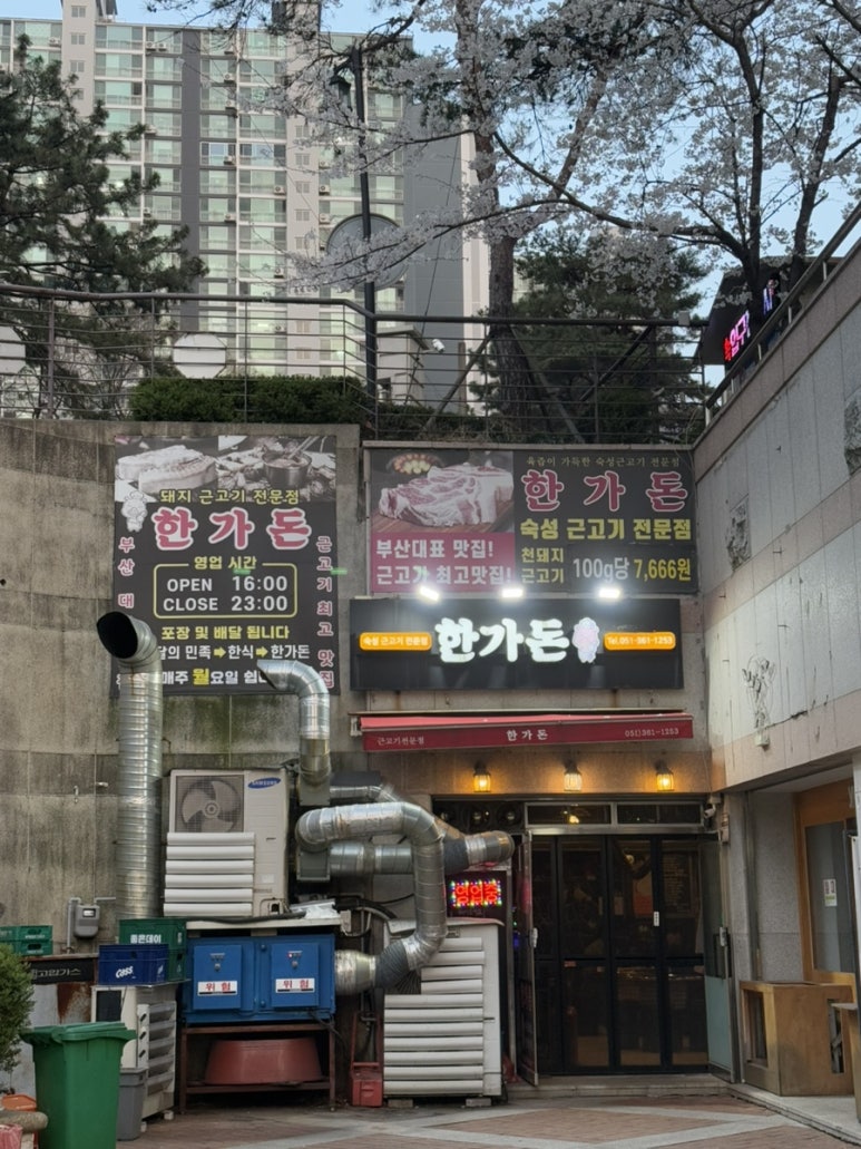한가돈 이미지