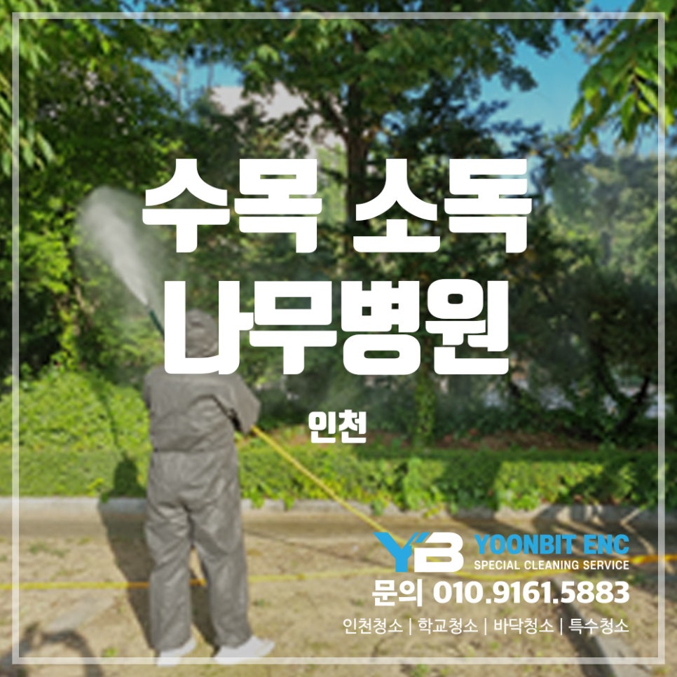 나무이엔씨 이미지