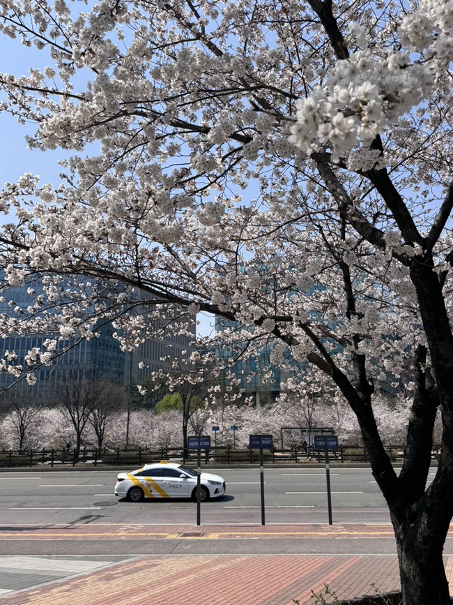 현대옥 판교점 사진 6