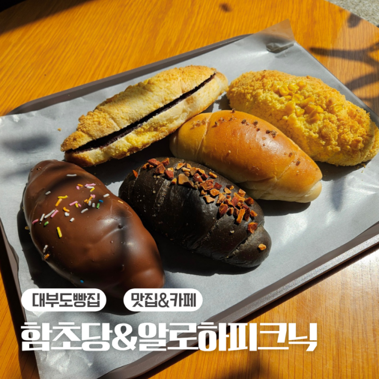 함초당&알로하피크닉 이미지