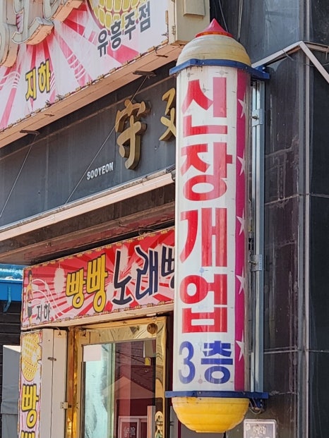 브이아이피아로마 이미지