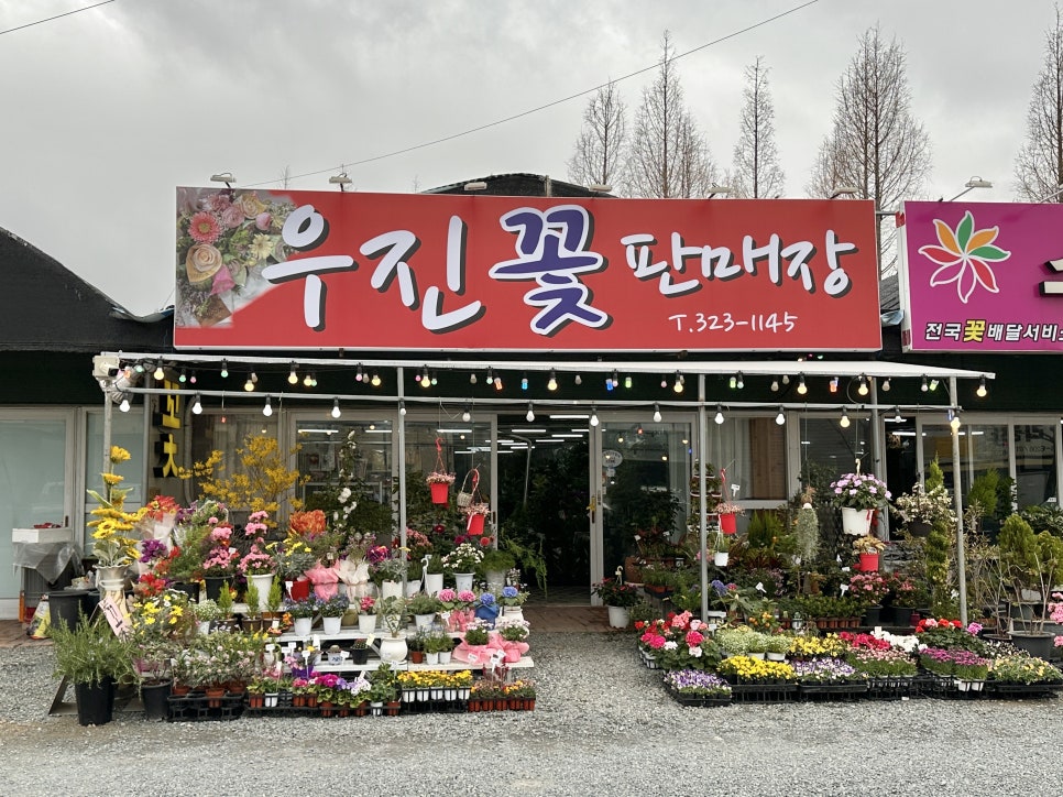 김해화원 이미지