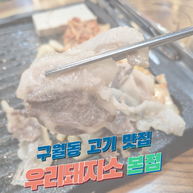 우리돼지소 이미지