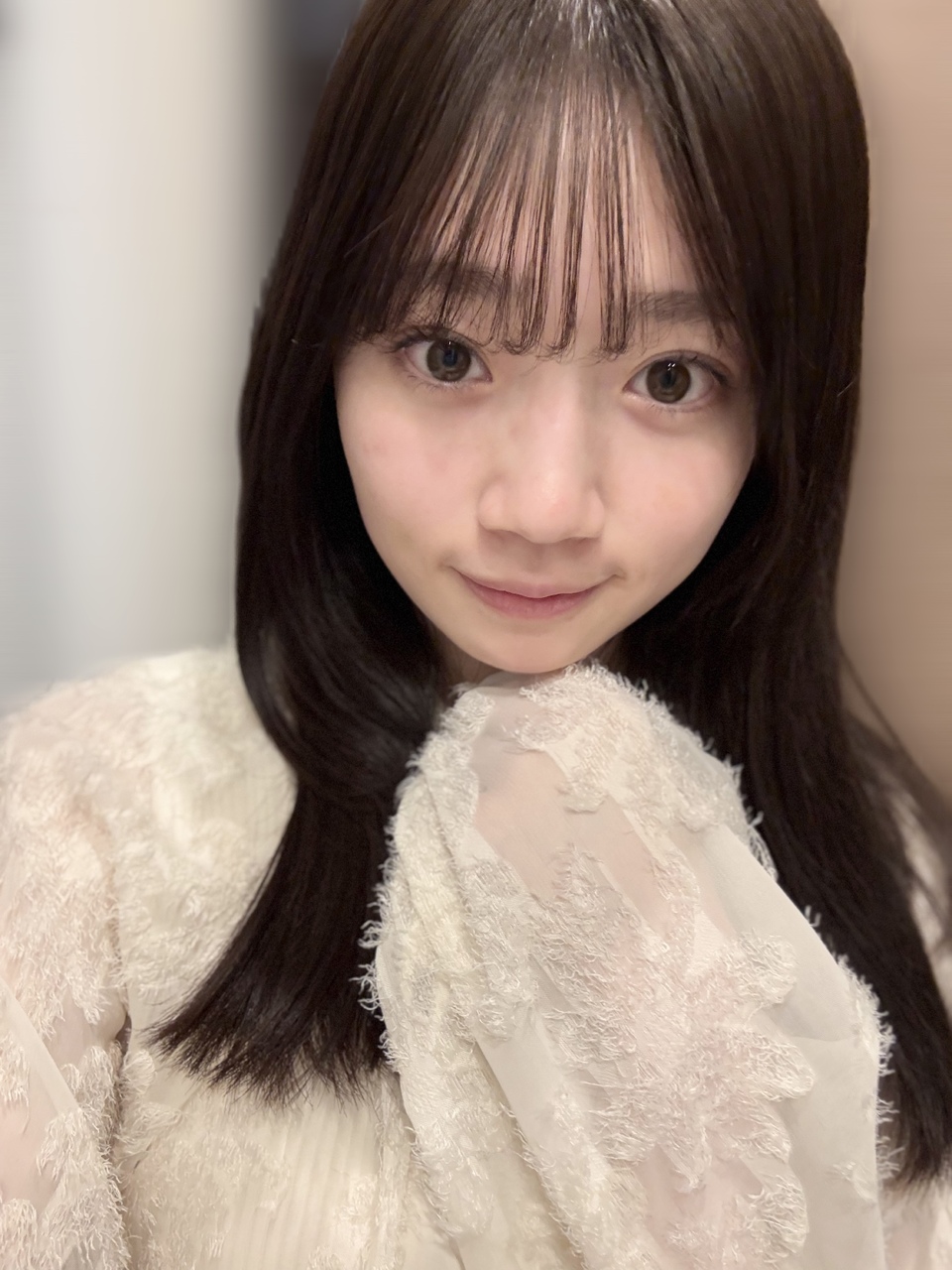 코코네 이미지