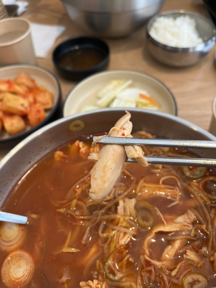 오늘은 어떤 닭 이미지