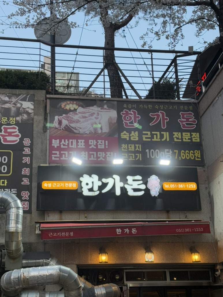 한가돈 이미지