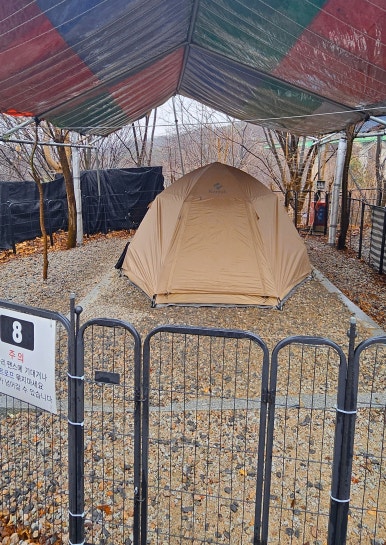 울타리천국 이미지