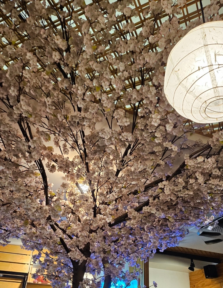 수시로스시 이미지