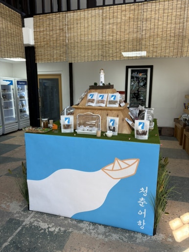 청춘어항 이미지