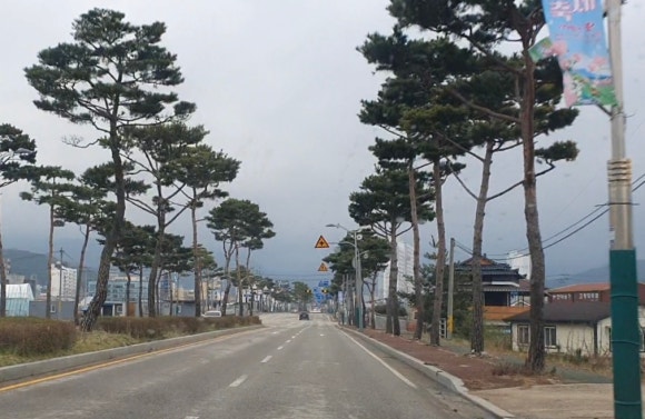 파리바게뜨파동 이미지