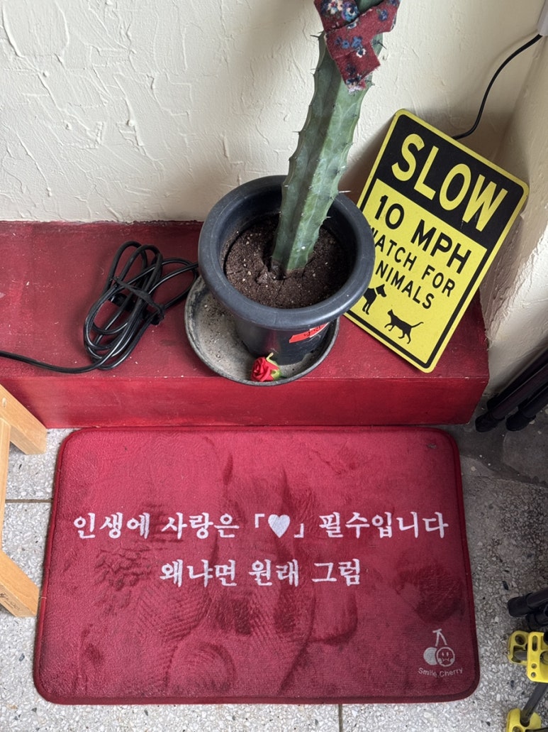 낭만과순정 이미지